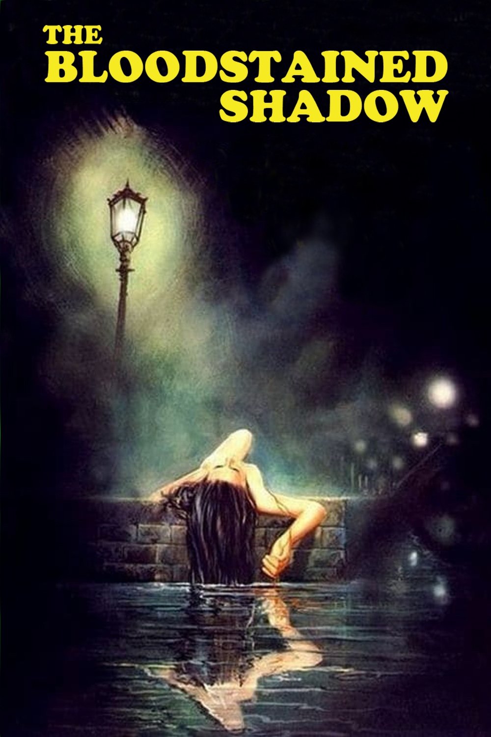 The Bloodstained Shadow (1978)