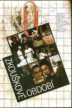 The Period of Examinations (1990)