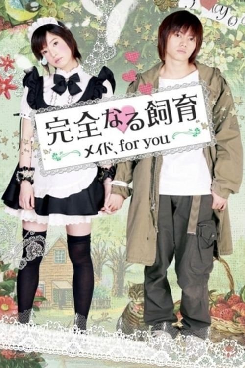 Perfect Education: A Maid for You (2010)